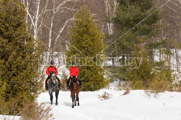 Horseback Riding in the Winter in Ontario Canada