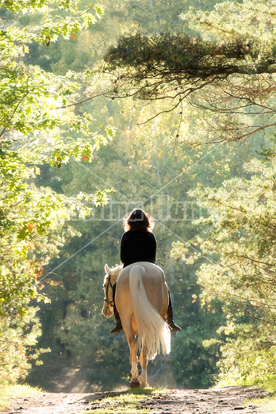 Woman riding a palomino horse