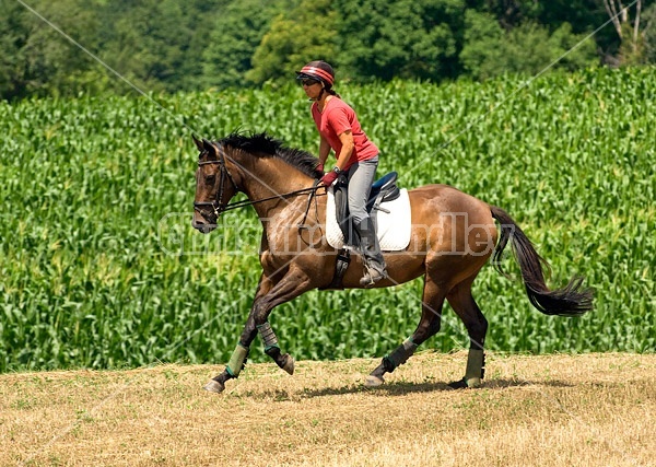 Woman horseback riding in field