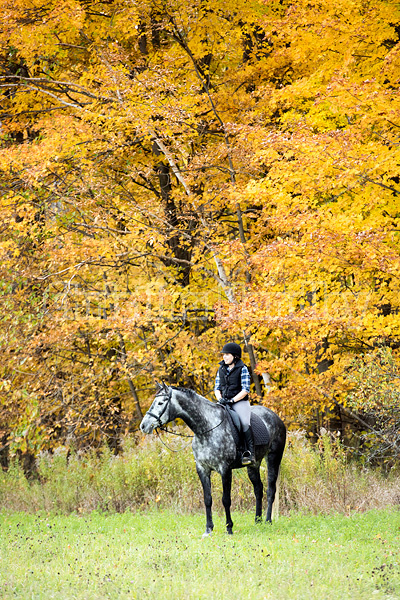 Young woman riding gray horse in the autumn colors