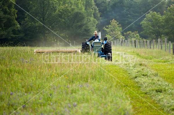 Farmer cutting hay with tractor and mower conditioner