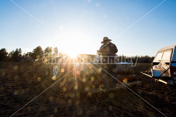 Farmer filling up a seed drill with seed oats.