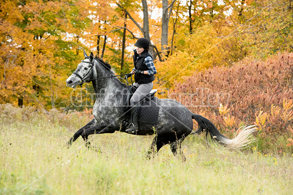 Young woman riding gray horse in the autumn colors