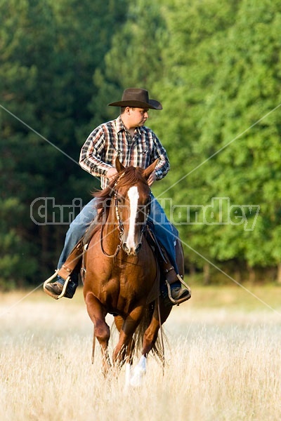 Cowboy Riding Quarter Horse Western Style