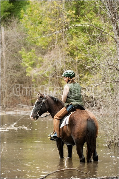 Riding Rocky Mountain Horses