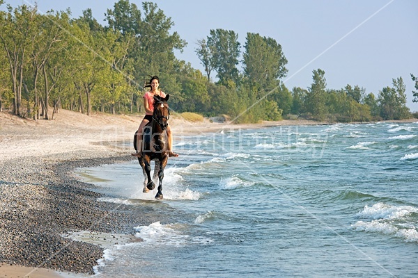 Young woman horseback riding in the surf of Lake Ontario. 