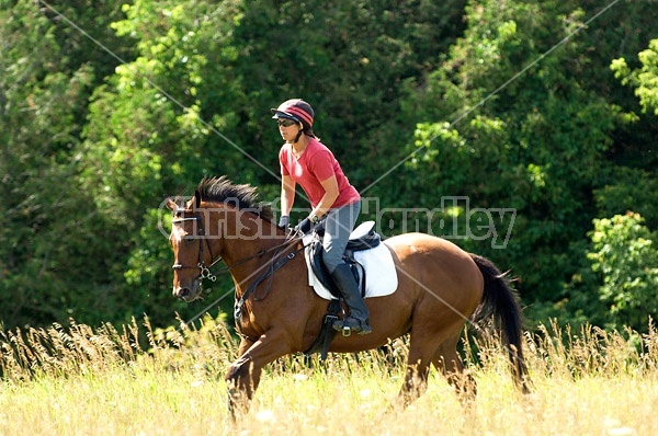 Woman horseback riding in field