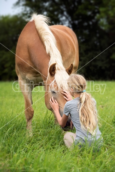 Portrait of a young girl with a Haflinger horse.