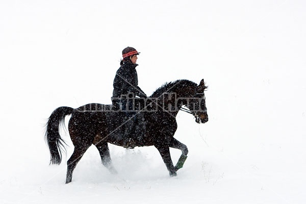 Woman horseback riding in the winter