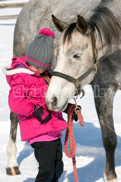 Young girl with gray horse