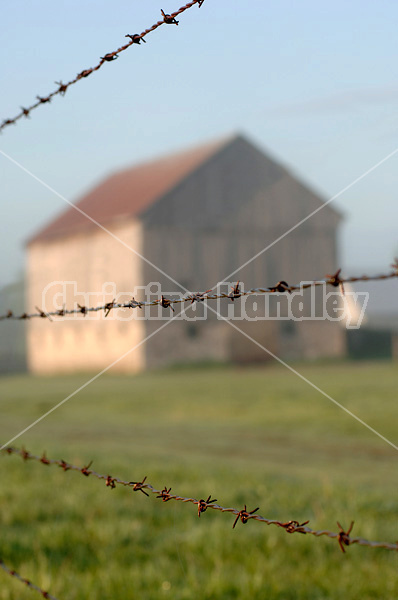 Barbed wire fence on cedar posts with out of focus barn in the background 