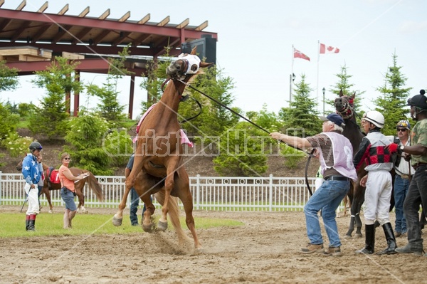 Quarter Horse Racing at Ajax Downs