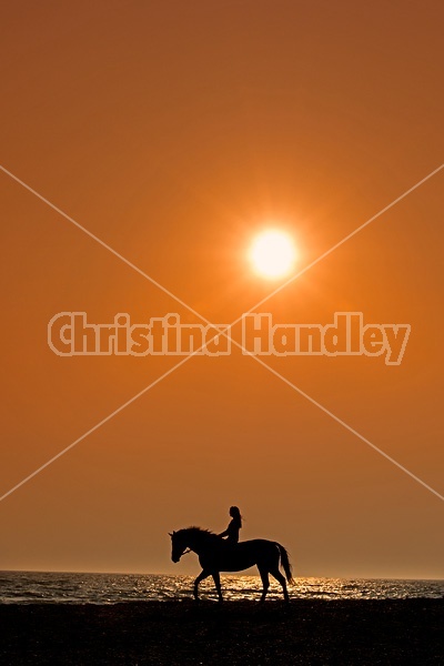 Young woman horseback riding along beach at sunset