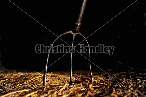 Pitchfork in hay Bale