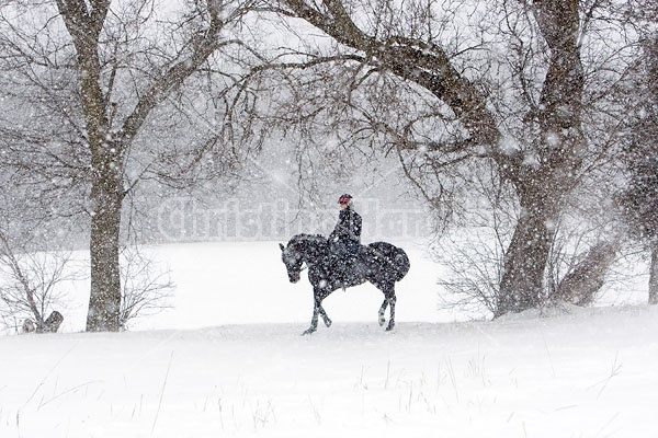 Woman horseback riding in the winter