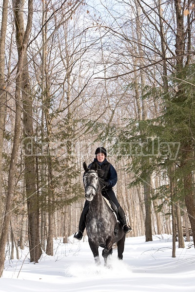 Woman riding Hanoverian mare in deep snow