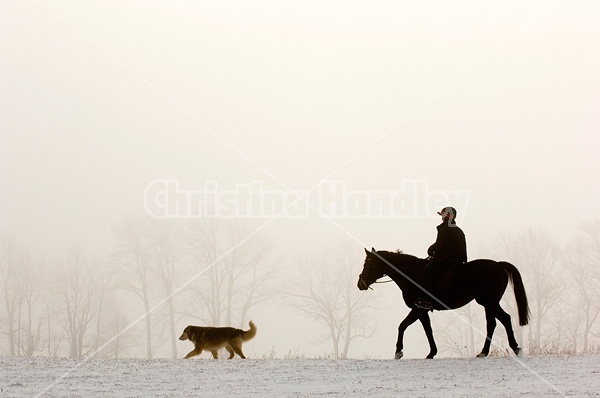 Horseback riding in the early morning fog