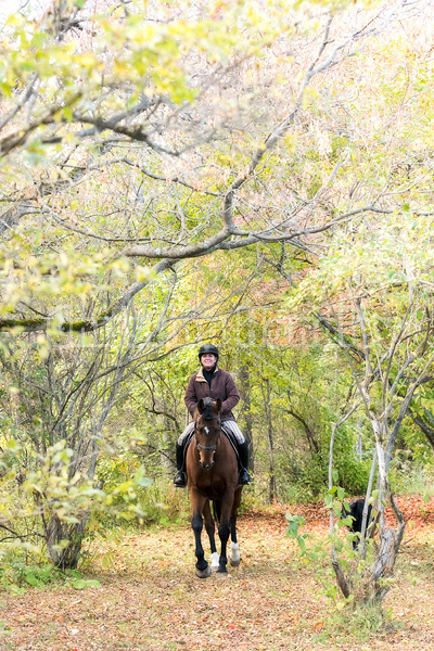 Woman horseback riding under a canopy of trees