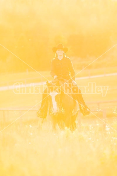 Young woman riding an American Paint Horse mare in the golden glow of the late evening light