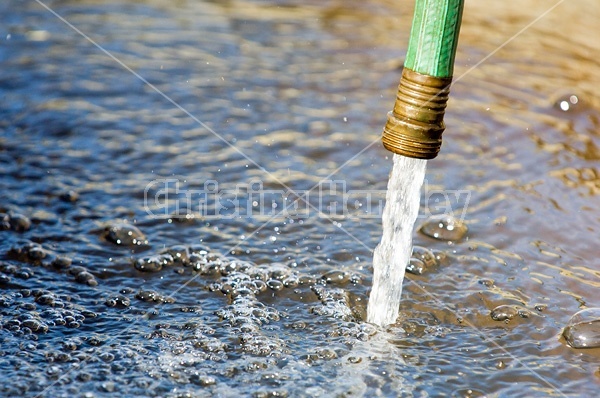 Water streaming out of garden hose into water trough.