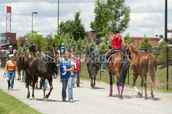 Quarter Horse Racing at Ajax Downs