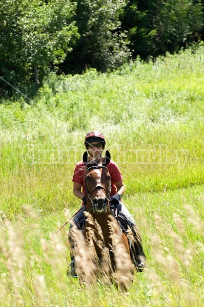 Woman horseback riding in field