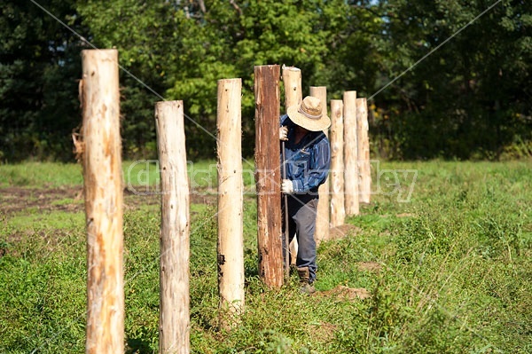 Farmer building new fence