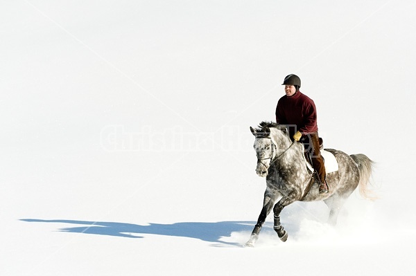 Man riding grey horse galloping through deep snow