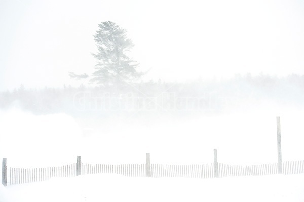 Blowing snow around farm yard