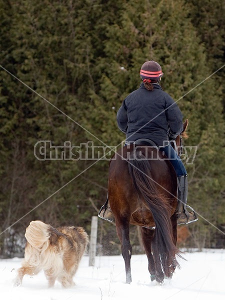 Woman horseback riding in the winter