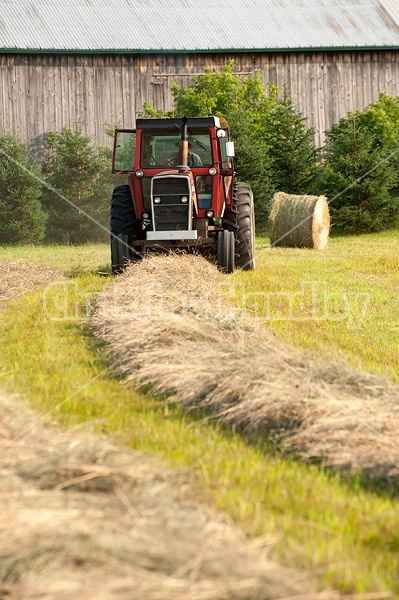 Farmer round baling hay