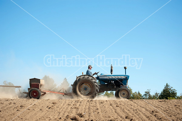 Farmer driving tractor and seed drill seeding oats