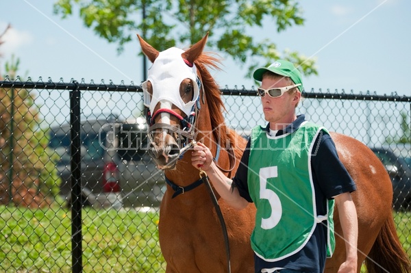 Quarter Horse Racing at Ajax Downs