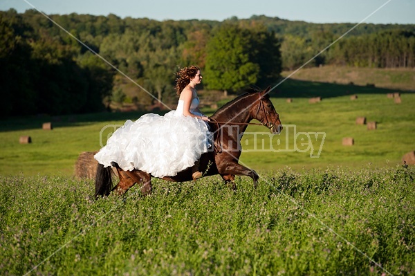 Woman riding horse wearing a wedding dress