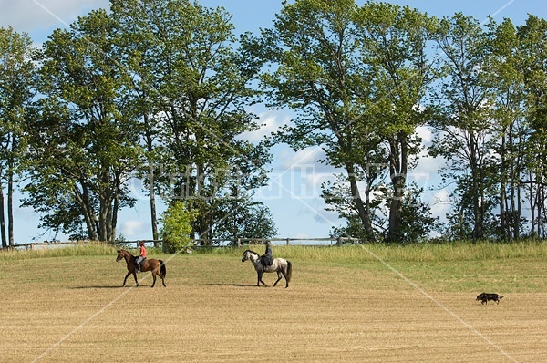 Two women horseback riding