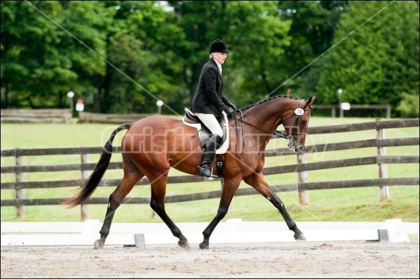 Lanes End Horse Trials