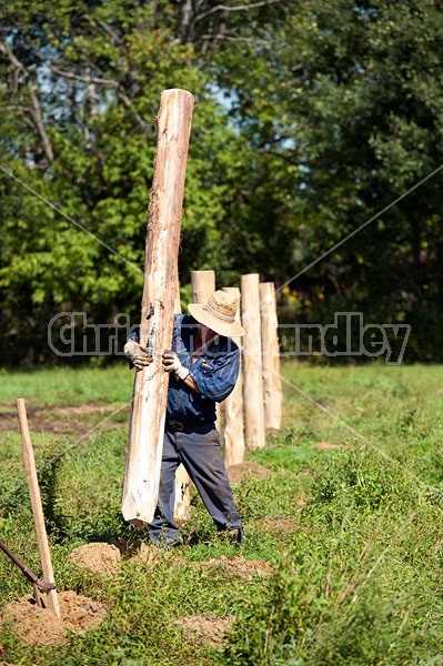 Farmer building new fence