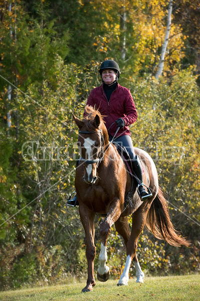 Woman riding chestnut horse in the autumn time