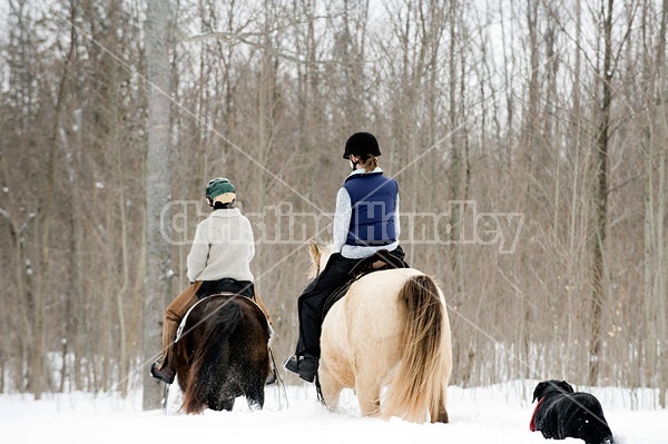 Horseback riding in the snow in Ontario Canada