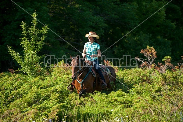 Woman trail riding on Standardbred mare