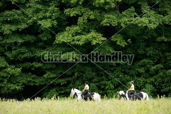 Two women riding Gypsy Vanner horses