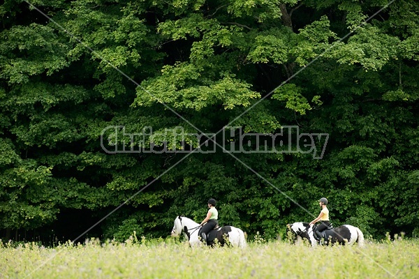 Two women riding Gypsy Vanner horses