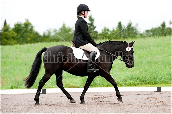 Lanes End Horse Trials