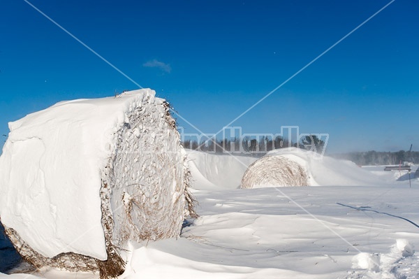 Round bales of hay covered in snow