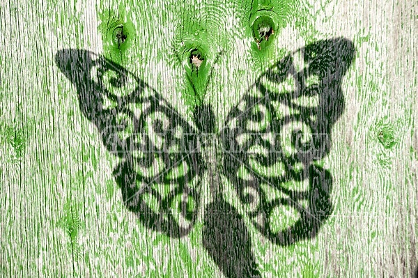 Shadow of a butterfly cutout on a faded green barn door