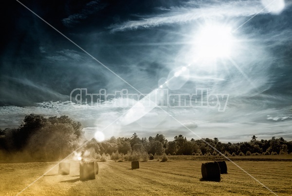 Photo of round bales of hay in hay field