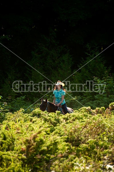 Woman trail riding on Standardbred mare