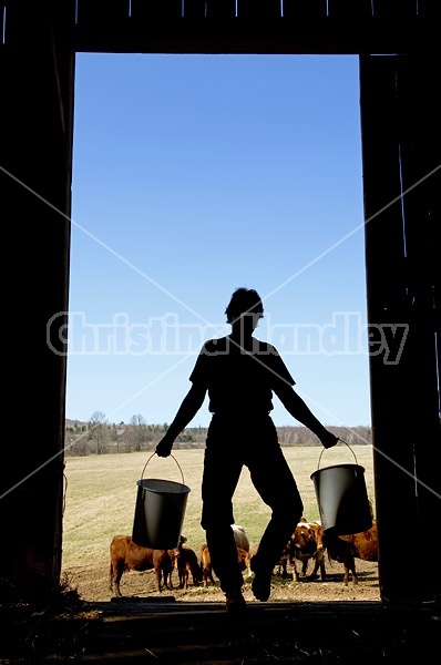 Farm woman silhouetted in barn doorway