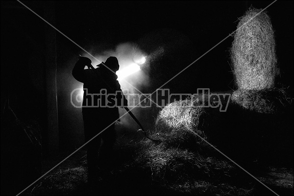 Farmer working in barn