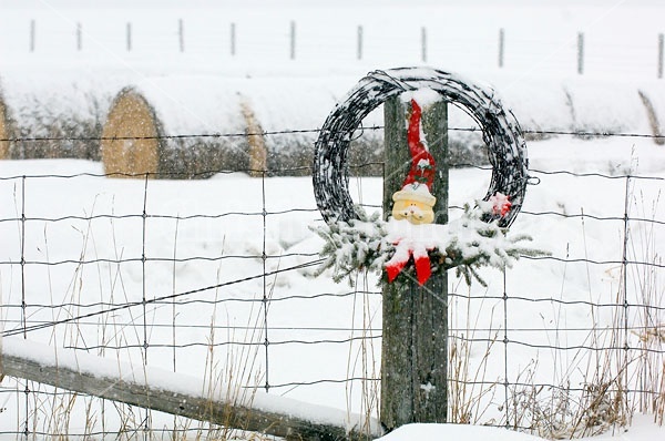 Barbed Wire Wreath hanging on Fence